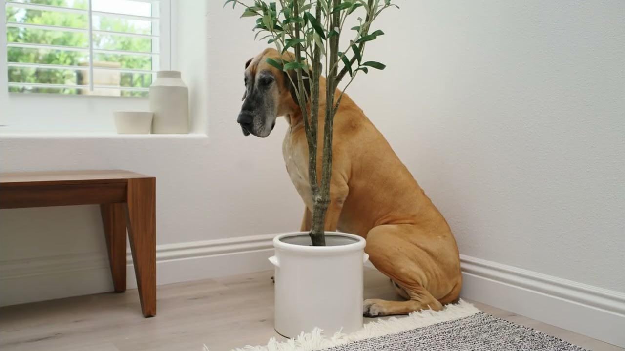 maxresdefault-2